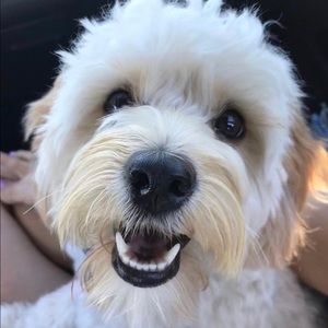 Meet your Posher, Meaghan